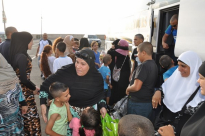  بالصور: عودة فوج معتمري مدينة يافا إلى ديارهم سالمين